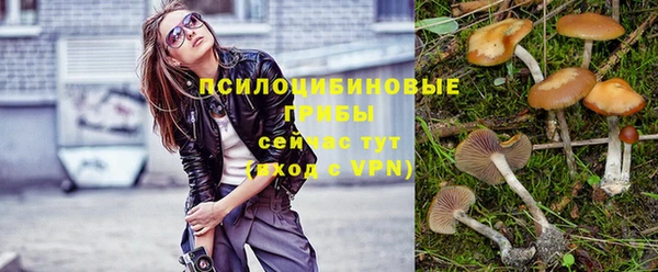 спиды Алексеевка