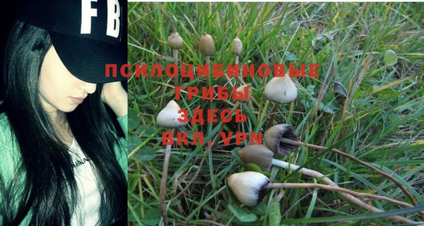 спиды Алексеевка