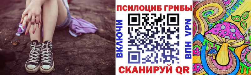 Псилоцибиновые грибы Psilocybe  Белгород 