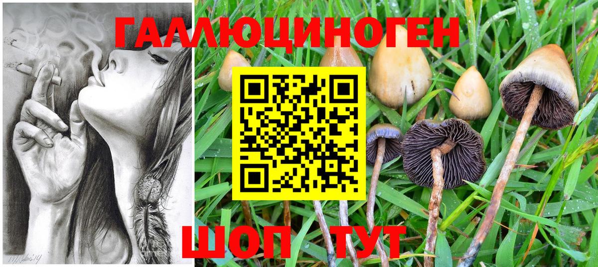 Галлюциногенные грибы MAGIC MUSHROOMS Белгород