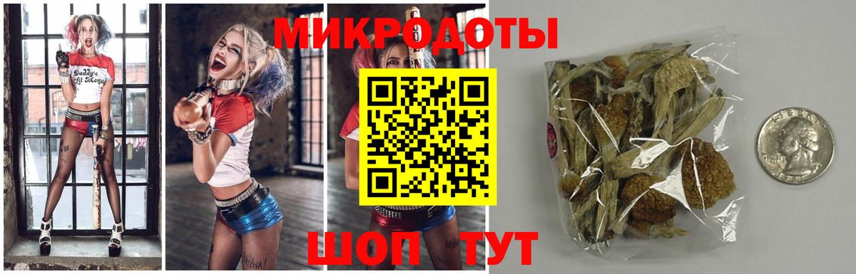 Белгород  Галлюциногенные грибы мицелий  Вход с VPN 
