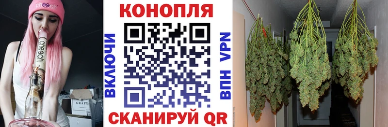 как найти Белгород Канабис VHQ