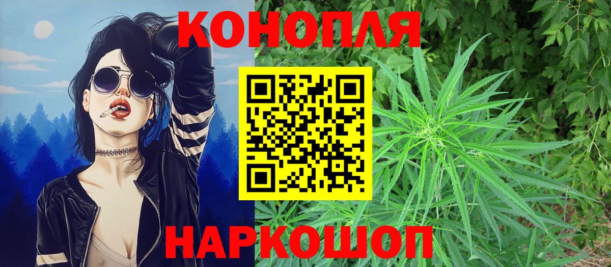 Канабис Ganja  Шишки марихуана план  Вход с VPN  Бошки марихуана тримм  Белгород 